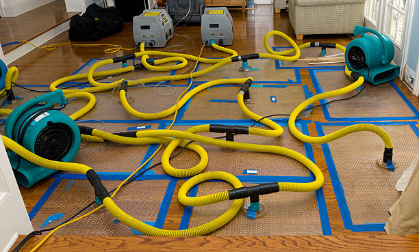 Professional Water Damage Restoration technician working in Old Monroe, MO